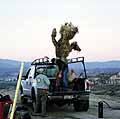 Joshua tree on truck